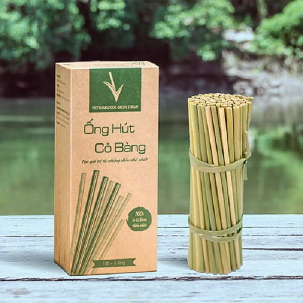 Hộp đựng ống hút từ thương hiệu Cỏ Bàng Kiểu dáng hộp đựng ống hút